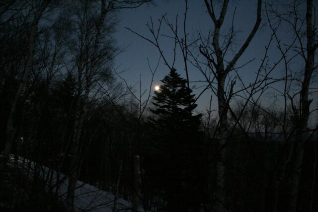 2026年 はじまり、はじまり~🎍 2026年 はじまり、はじまり~🎍