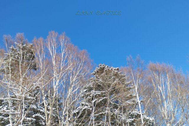 フクちゃん フクちゃん