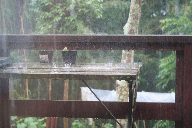 Heavy Rain